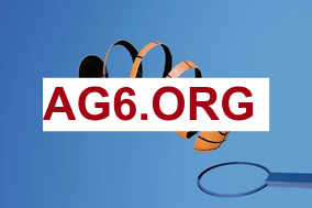 比赛直播间：四川金强与广东东阳光